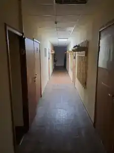 -Групп - 13