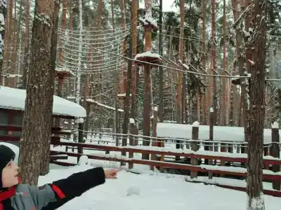 Чайка - 26