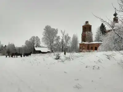 Конная база в Михайловском - 3