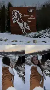 СВХ - 98