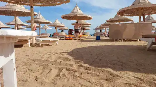 The Grand Resort - 68
