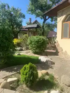 Солнечный Замок - 43