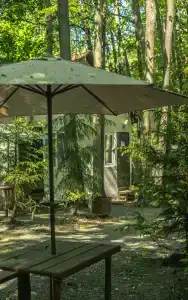 Монте-Карло - 61