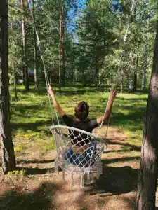 Место в лесу - 11