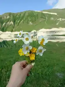 Алхар - 11