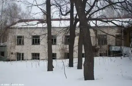 Дубки - 41