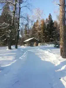 Северское - 2