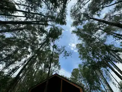 Дом для отпуска у Березы - 59