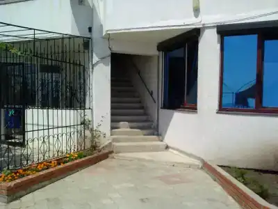 Дельфин - 24