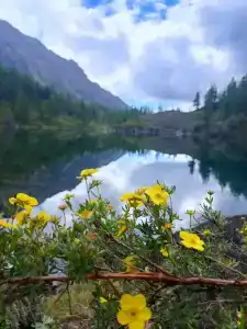 Kuiaktanar Camping - 26