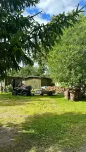 Приют - 21
