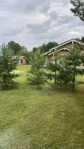 Челмужская усадьба - 36