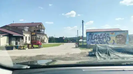 Российские альпаки - 16