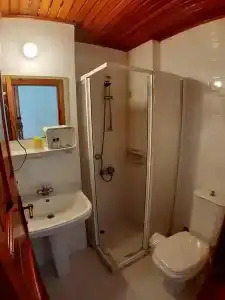 Caretta Caretta - 37