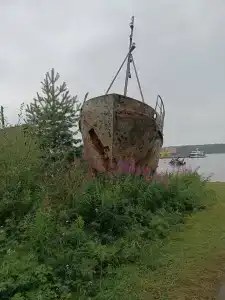 Нереис - 15