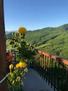 Lastiver Resort - 30