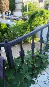 Мини гостиница Три Кипариса на Терешкова - 55