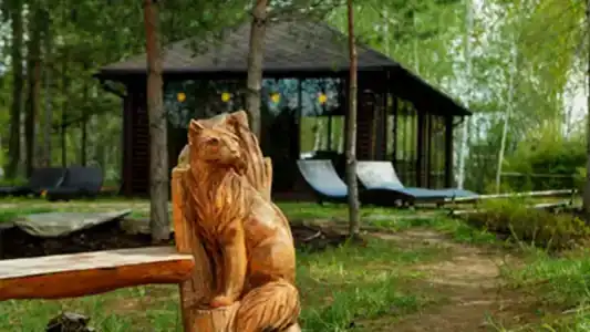Лисья нора - 8