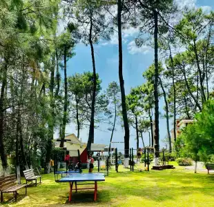 Villa Reta & Spa - 68