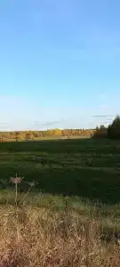 Алексеевское - 46