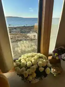 Кедр Грасс Белое Море - 80