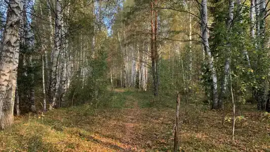 Старый Мултан - 6