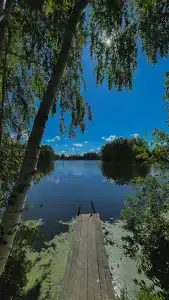 Гнездо - 6