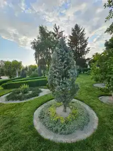 Великовечное - 10