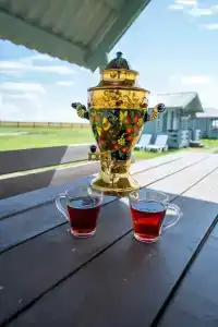 Кемпинг на Берегу - 34