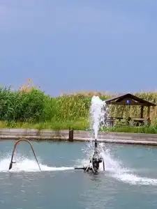 Сероводородный источник - 4