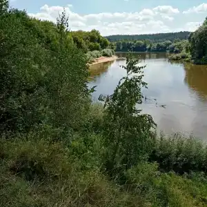 Красный Бор - 66