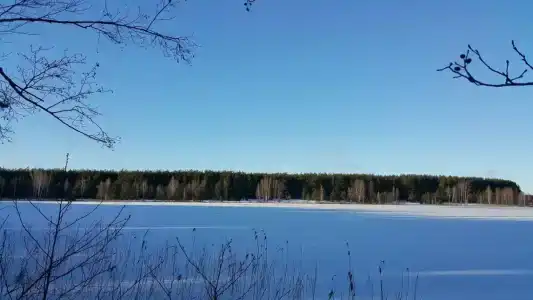 Прудки - 27