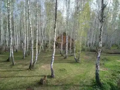 Ровесник - 65
