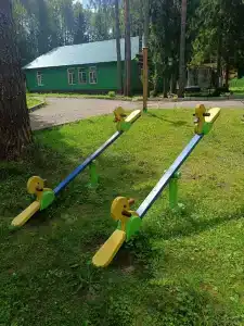 Сосновый берег - 6
