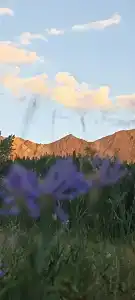 Шелковый путь - 11