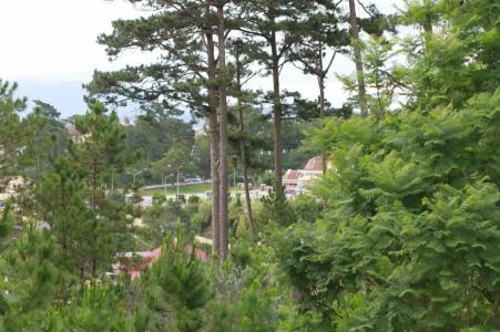 Dalat Cadasa Resort - 21