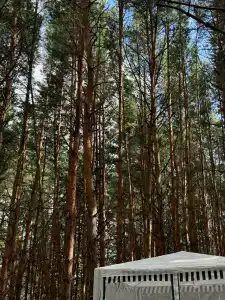 База отдыха и рыбалки Краснополье - 12