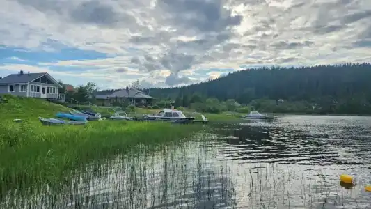 Тарулинна - 15