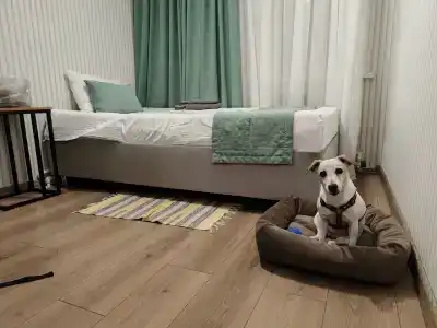 Петровский Лес - 50