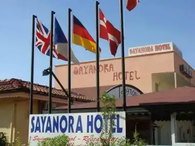 Sayonara - 3