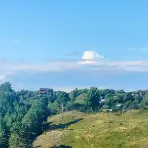 Сосновый бор - 58