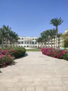 Baron Palace Sahl Hasheesh - 64