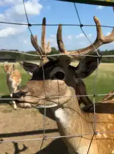 Трофимов Берег - 6