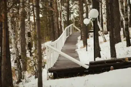 Бурдугуз - 55