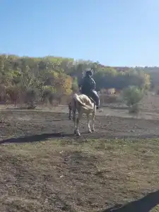 Родники - 59