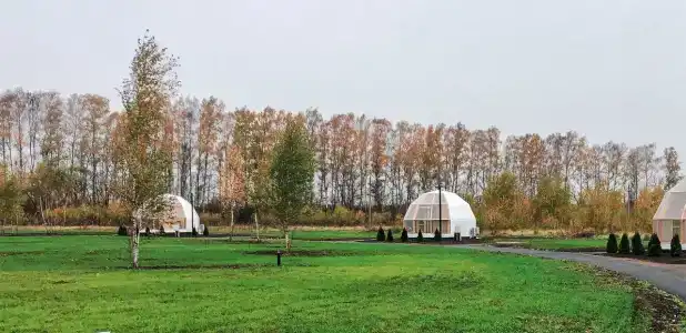 Ферма-Цыпа's - 79
