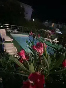 Жемчужина Лоо - 60