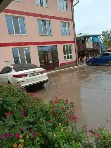Дубрава - 26