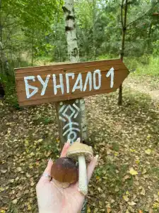 BOHO CAMP - 7