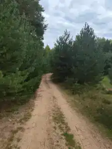 Юршино - 49